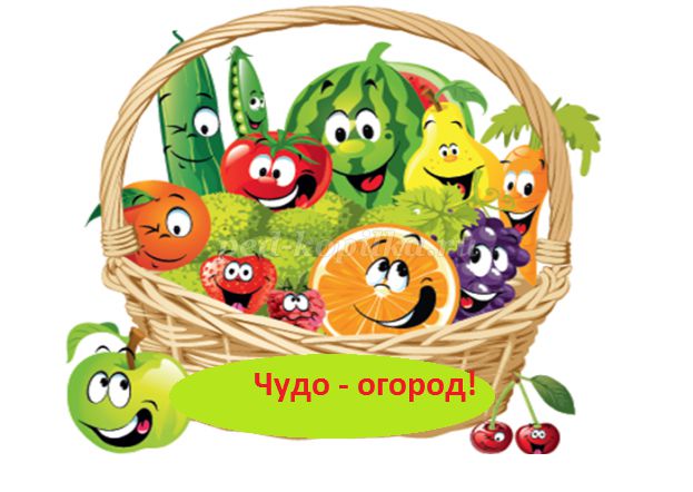 Чудо огород