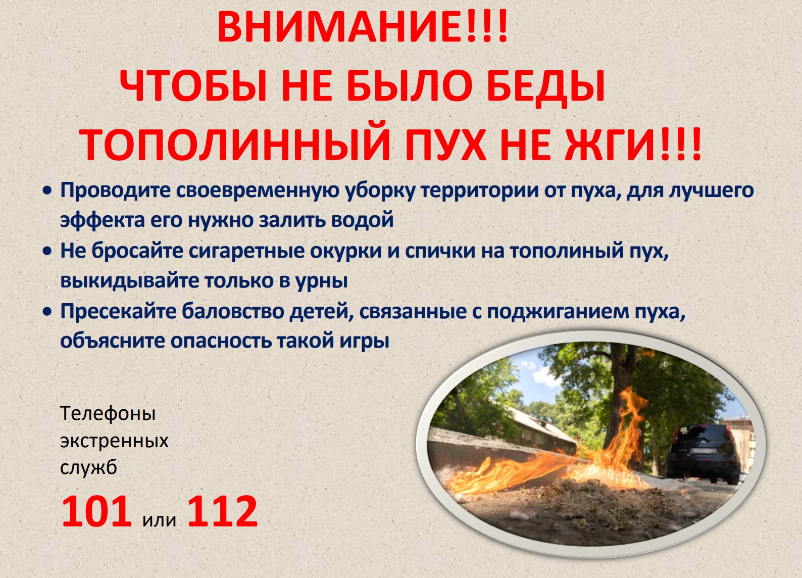 Screenshot 50